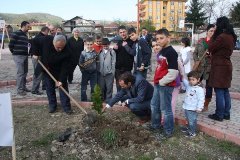 ArborActivity02
